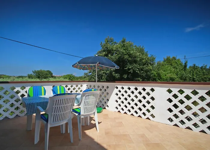 Dario - Veliki - Mpolo Lejlighed